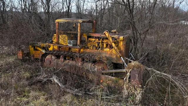 Rusted Caterpillar D8 dozer sitting in overgrown woods
