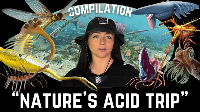 Lindsay in a black bucket hat surrounded by colourful Paleozoic sea creatures