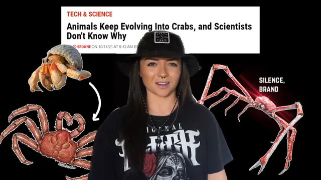 Lindsay between a hermit crab and a spider crab with a news headline about crab evolution