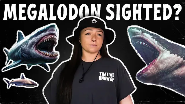 Lindsay flanked by two illustrated megalodon sharks under the words Megalodon Sighted?