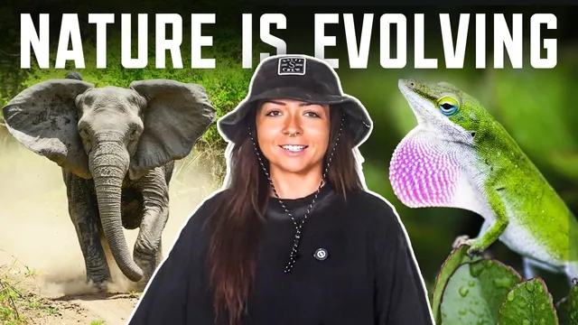 Lindsay between an elephant and a green anole lizard under the words Nature Is Evolving